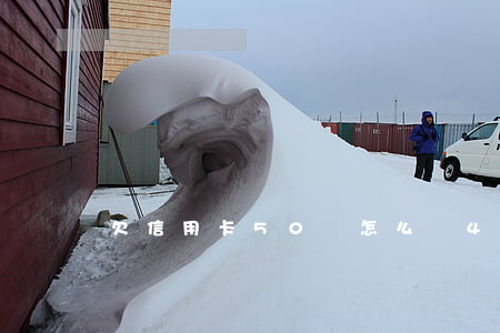 欠信用卡50萬怎么辦（40歲欠信用卡50萬）