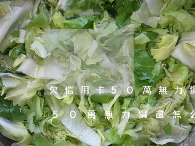 欠信用卡50萬無力償還怎么辦-欠信用卡50萬無力償還怎么辦呢