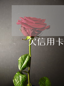 欠信用卡50萬自首要判多少年-