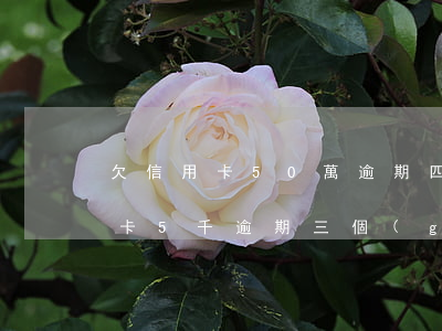 欠信用卡50萬逾期四個(gè)月(欠信用卡5千逾期三個(gè)月)