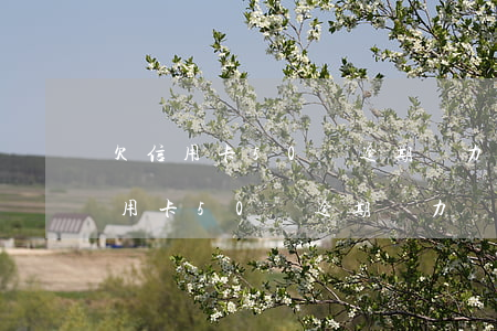欠信用卡50萬逾期無力償還判幾年-欠信用卡50萬逾期無力償還判幾年