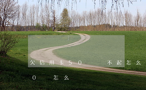 欠信用卡50萬還不起怎么辦(信用卡欠了50萬怎么辦)