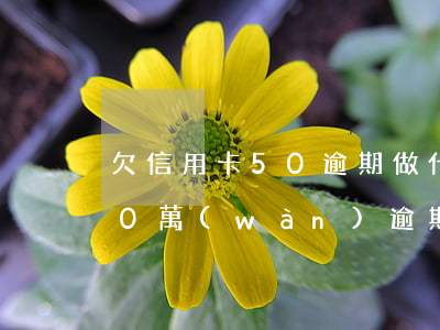 欠信用卡50逾期做什么掙錢多-信用卡50萬(wàn)逾期