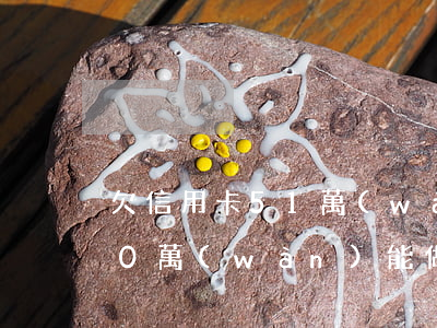 欠信用卡51萬(wàn)(欠銀行信用卡50萬(wàn)能做幾年牢房)