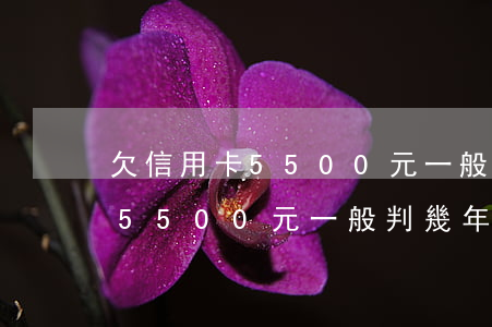 欠信用卡5500元一般判幾年-欠信用卡5500元一般判幾年呢