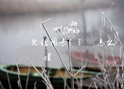 欠信用卡55萬怎么辦(欠信用卡55萬怎么辦理)