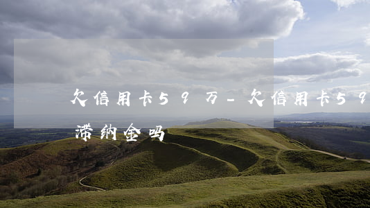 欠信用卡59万-欠信用卡59万以上是加滞纳金吗