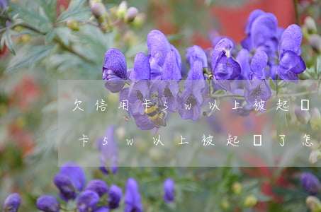 欠信用卡5w以上被起訴了怎么辦-欠信用卡5w以上被起訴了怎么辦呢