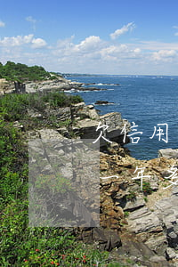 欠信用卡5万一年多了还没还（欠信用卡5万一年多了）