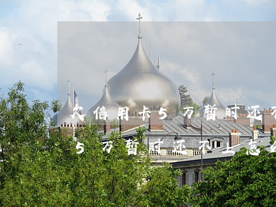 欠信用卡5万暂时还不上怎么办-欠信用卡5万暂时还不上怎么办呢