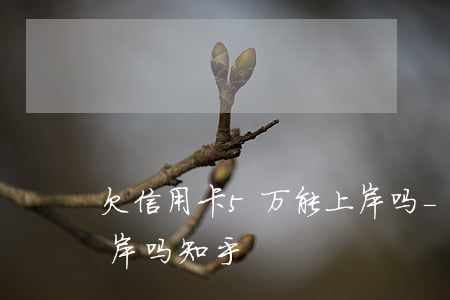 欠信用卡5万能上岸吗-欠信用卡5万能上岸吗知乎