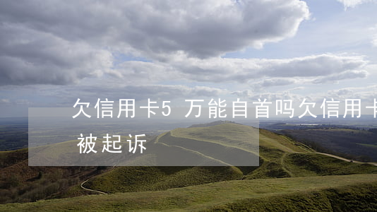 欠信用卡5万能自首吗(欠信用卡5万以下会被起诉)