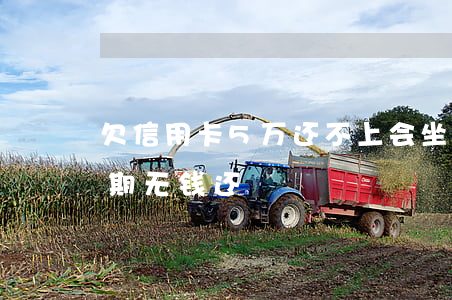 欠信用卡5万还不上会坐牢吗（信用卡5万逾期无钱还）