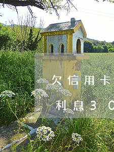 欠信用卡5万违约金(欠信用卡5万违约金加利息3000元)