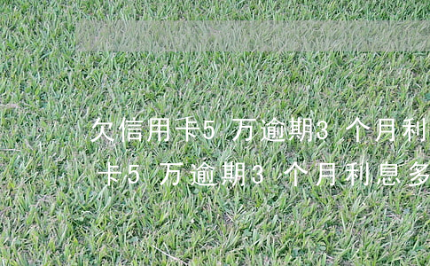 欠信用卡5万逾期3个月利息多少-欠信用卡5万逾期3个月利息多少钱