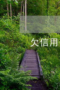 欠信用卡5万逾期(欠信用卡5万逾期三年)
