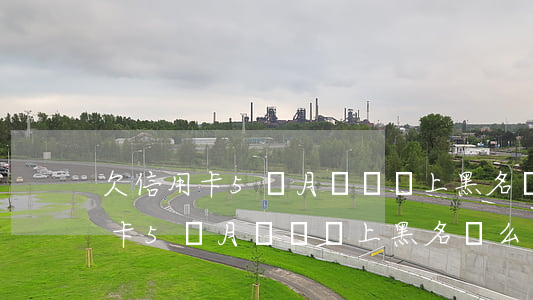 欠信用卡5個月沒還會上黑名單么-欠信用卡5個月沒還會上黑名單么嗎