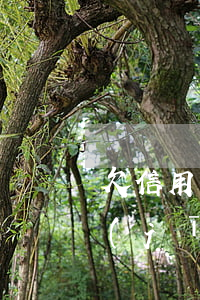 欠信用卡5千逾期三個月（欠信用卡5萬已經(jīng)逾期1天了）