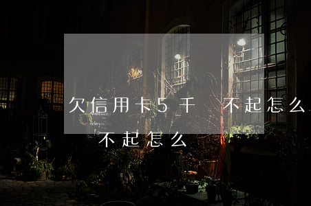欠信用卡5千還不起怎么辦呢（欠信用卡5千還不起怎么辦）