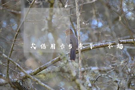 欠信用卡5年了還不起訴怎么辦-