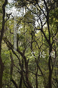 欠信用卡5年怎么還