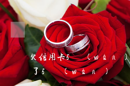 欠信用卡5萬(wàn)元怎么辦（信用卡欠了5萬(wàn)塊錢）
