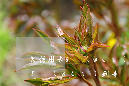 欠信用卡5萬(wàn)刑事訴訟 欠信用卡5萬(wàn)刑事訴訟多少錢