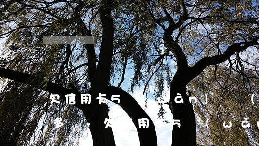 欠信用卡5萬(wàn)塊錢(qián)多嗎-欠信用卡5萬(wàn)塊錢(qián)多嗎