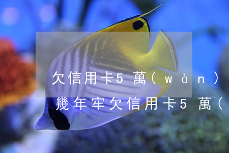 欠信用卡5萬(wàn)多會(huì)坐幾年牢（欠信用卡5萬(wàn)會(huì)不還嗎）