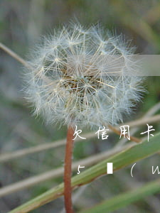 欠信用卡5萬(wàn)跑到外地(欠信用卡5萬(wàn)跑到外地)
