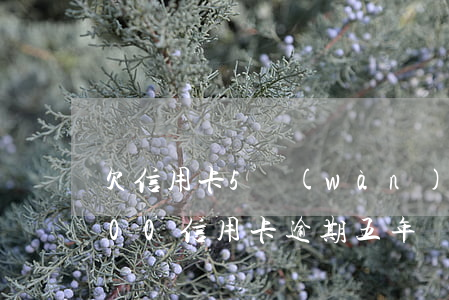 欠信用卡5萬(wàn)逾期兩年了(欠3000信用卡逾期五年)