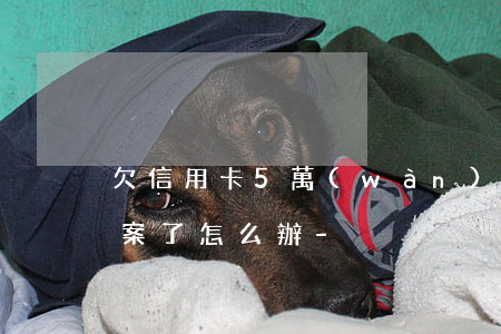 欠信用卡5萬(wàn)銀行報(bào)案了怎么辦-