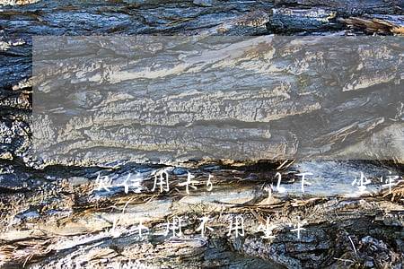 欠信用卡5萬以下會坐牢嗎（信用卡逾期五萬以下用不用坐牢）