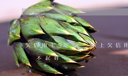 欠信用卡5萬元還不上(欠信用卡五萬多實在還不起咋辦)