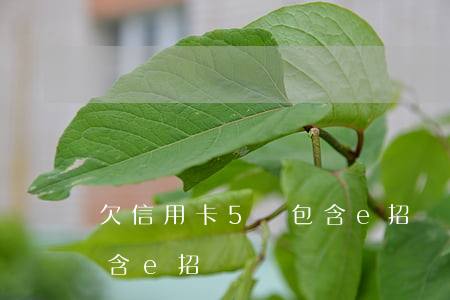 欠信用卡5萬包含e招貸嗎(欠信用卡5萬包含e招貸嗎)
