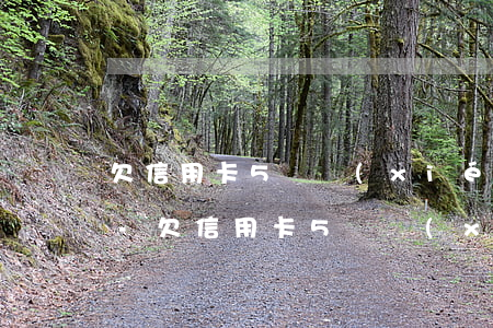 欠信用卡5萬協(xié)商不同意怎么辦-欠信用卡5萬協(xié)商不同意怎么辦呢