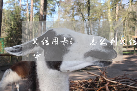 欠信用卡5萬怎么判(欠信用卡五萬塊錢會坐牢嗎)