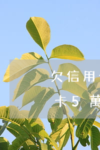 欠信用卡5萬怎么被認定惡意透支-欠信用卡5萬怎么被認定惡意透支的