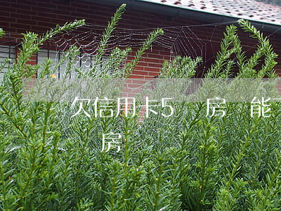 欠信用卡5萬房貸能下來嗎(信用卡5萬欠款辦房貸)