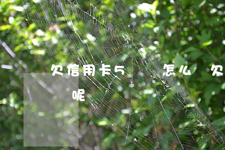 欠信用卡5萬該怎么辦 欠信用卡5萬該怎么辦呢