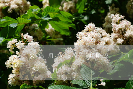 欠信用卡5萬逾期2個月(欠信用卡5萬逾期2個月)