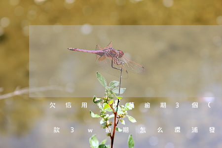 欠信用卡5萬逾期3個(gè)月（信用卡欠款3w逾期怎么還浦發(fā)）