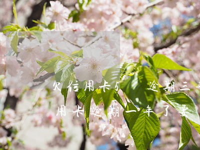 欠信用卡5萬逾期三年要還多少錢-5萬信用卡逾期一年了要還多少