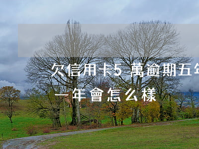 欠信用卡5萬逾期五年年(信用卡欠5千逾期一年會怎么樣)