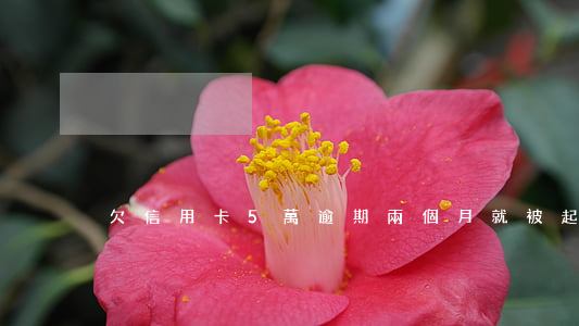 欠信用卡5萬逾期兩個月就被起訴