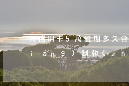 欠信用卡5萬逾期多久會(huì)強(qiáng)制執(zhí)行-欠信用卡5萬逾期多久會(huì)強(qiáng)制執(zhí)行呢