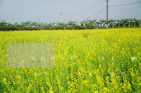 欠信用卡5萬還不上會坐牢嗎知乎-欠信用卡5萬還不上會坐牢嗎知乎