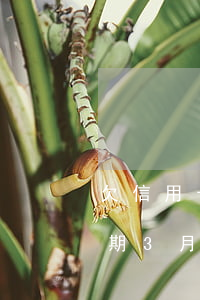 欠信用卡6000元(欠信用卡6000元逾期3月還多少錢)