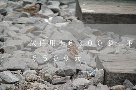 欠信用卡6000多會不會被起訴（信用卡欠6500元）