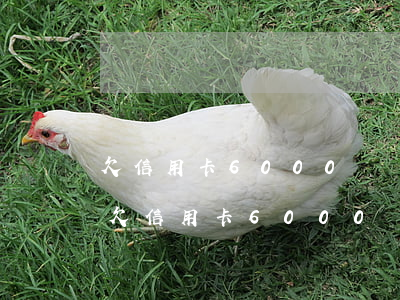 欠信用卡6000幾個月沒還了會怎么樣-欠信用卡6000幾個月沒還了會怎么樣嗎